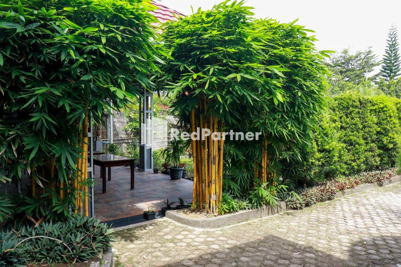 Hd Garden Villa Redpartner Jangkang Luaran gambar