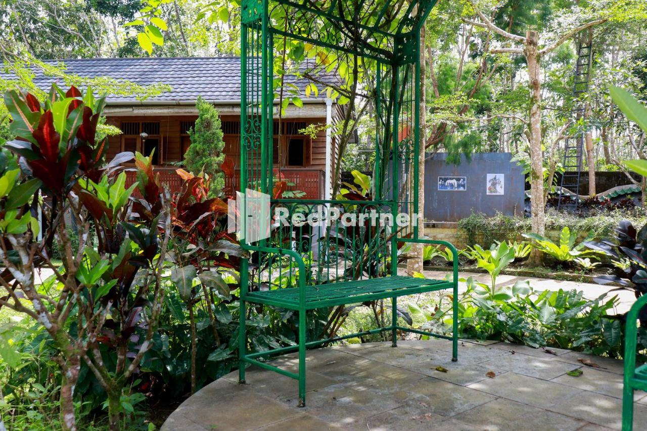 Hd Garden Villa Redpartner Jangkang Luaran gambar