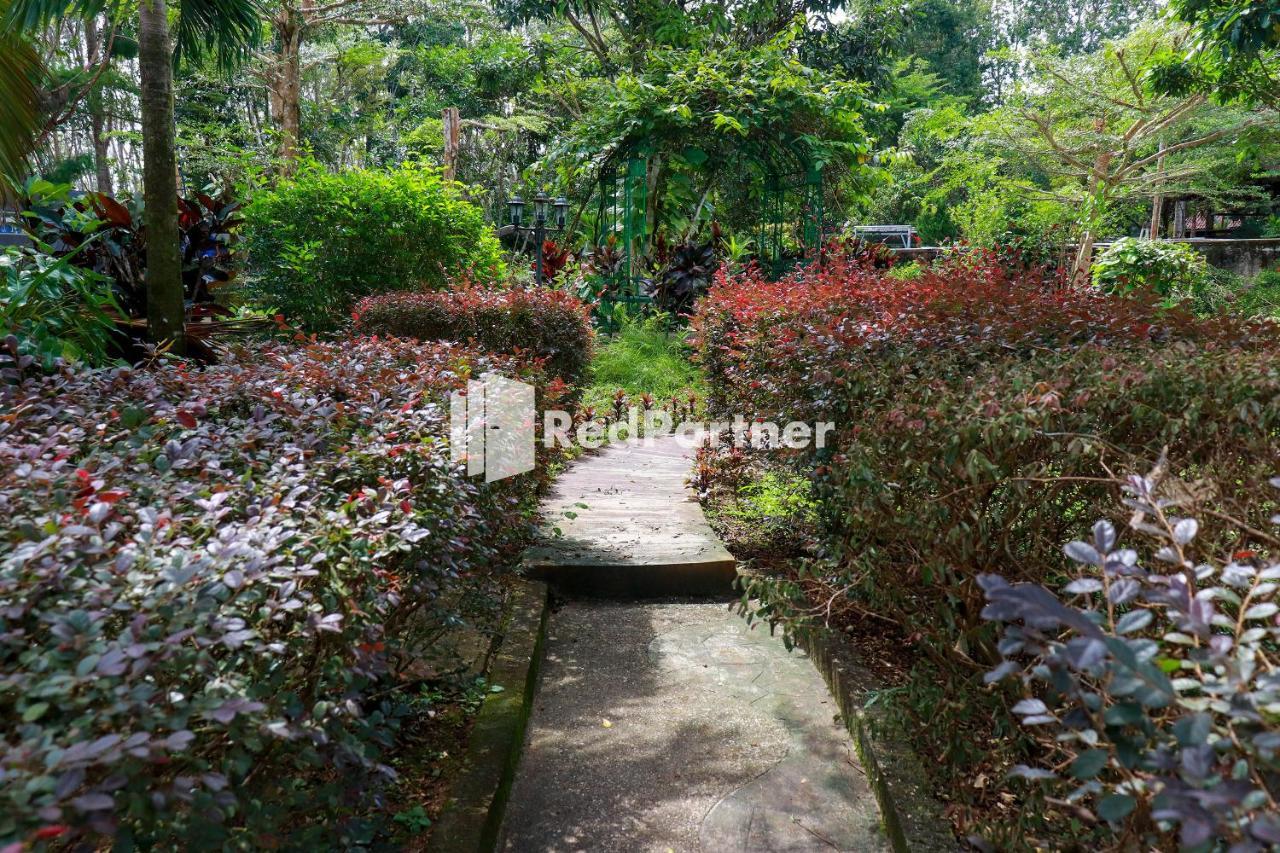 Hd Garden Villa Redpartner Jangkang Luaran gambar